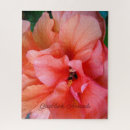 Recherche de belles fleurs Orange
