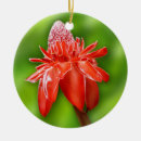 Suche nach exotisch ornamente Blume