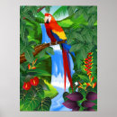 Suche nach amazonas wald poster Papagei