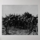 Suche nach trinidad poster West