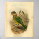 Suche nach vintage cat poster Schwarz