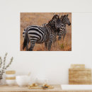 Suche nach kenya poster Natur