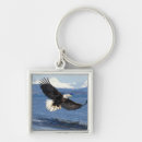 Suche nach weißkopfseeadler schlüsselanhänger Nationalvogel