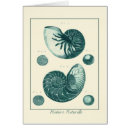 Suche nach denise postkarten Muschelmalerei