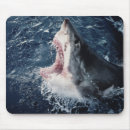 Suche nach erhöhtes mousepads Farbbild