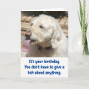Suche nach amüsant karten Hund