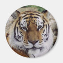 Suche nach zoo magnete Fokus