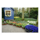 Recherche de keukenhof Pays bas