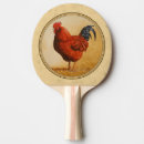 Recherche de coq raquettes ping pong Volaille