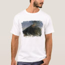 Suche nach ätna tshirts Vulkan