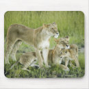 Suche nach liebevoll mousepads Natur