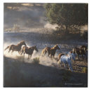 Recherche de troupeau carreaux Horizontal