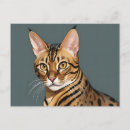 Suche nach bengalische katzen postkarten Haustier