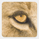 Suche nach kruger nationalpark Tiere