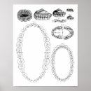 Recherche de tooth posters Dentaire