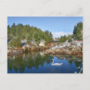 Recherche de swan cartes postales Paysage