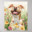 Suche nach pit bull poster Bullloge