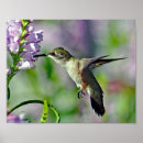 Suche nach wildlife poster Foto