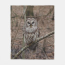 Suche nach eulenbilder Eulen foto