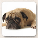 Suche nach trauriges untersetzer Hund