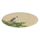 Recherche de moineau bureau fournitures Nature