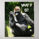 Suche nach lustiger gorilla poster Affe