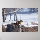 Suche nach baumstümpfe poster Natur