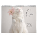 Suche nach lustige für kalender Katzen