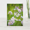 Suche nach beauty karten Blumenreich