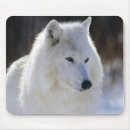 Suche nach arktisch mousepads Natur