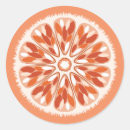 Recherche de orange fruit autocollants Mandarine