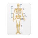 Recherche de médecine magnets Doctor