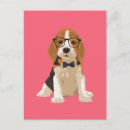 Recherche de chiot de beagle cartes postales Pour tous