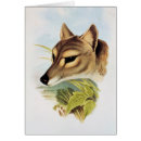 Recherche de tasmanie cartes postales Éteint