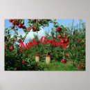 Suche nach apfelgarten poster Bäume