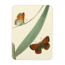 Suche nach schmetterling magnete Bunt