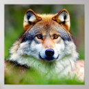 Recherche de belle peinture posters Faune