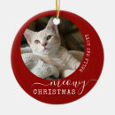 Suche nach kitschig ornamente Katzen