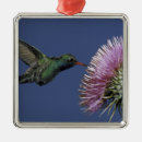 Recherche de chardon ornements Fleur