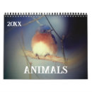 Suche nach tiere kalender Niedlich