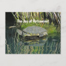 Recherche de tortues cartes postales Amoureux de la nature