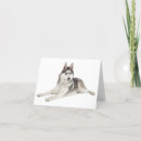 Suche nach siberian husky karten Welpe
