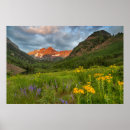 Suche nach elk poster Aspen