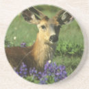 Suche nach hirsch untersetzer Natur