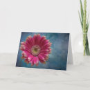 Suche nach gerbera karten Blüte