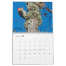 Suche nach specht kalender Vogelvogel