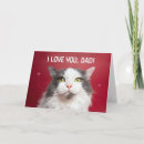 Recherche de cha photographie Chat