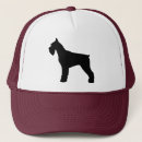 Recherche de schnauzer casquettes Chiens