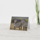 Suche nach zebra karten Wild