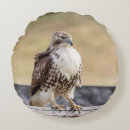 Suche nach falke kissen Wild lebende tiere